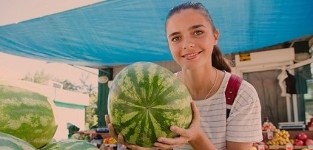 een watermeloen kopen