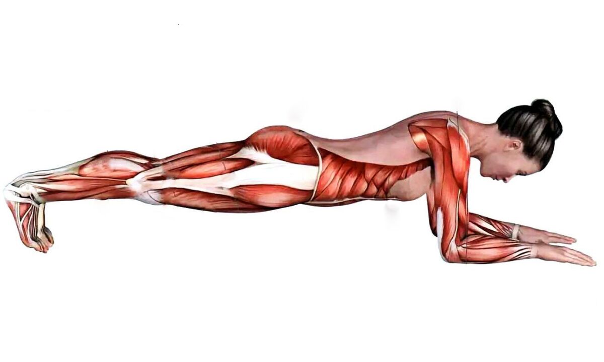 welke spieren werken bij plank